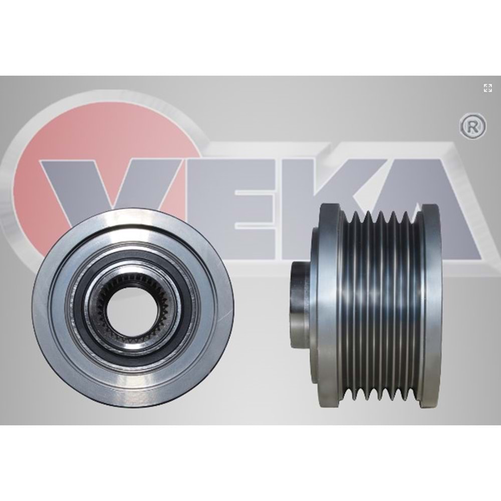 Alternatör Kasnağı Rulmanlı Fiat Linea (323) 1.6 Mjt 2007-