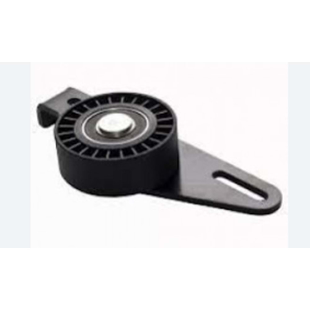 Alternatör Gergi Rulmanı Clıo-Kangoo-Megane 1.4