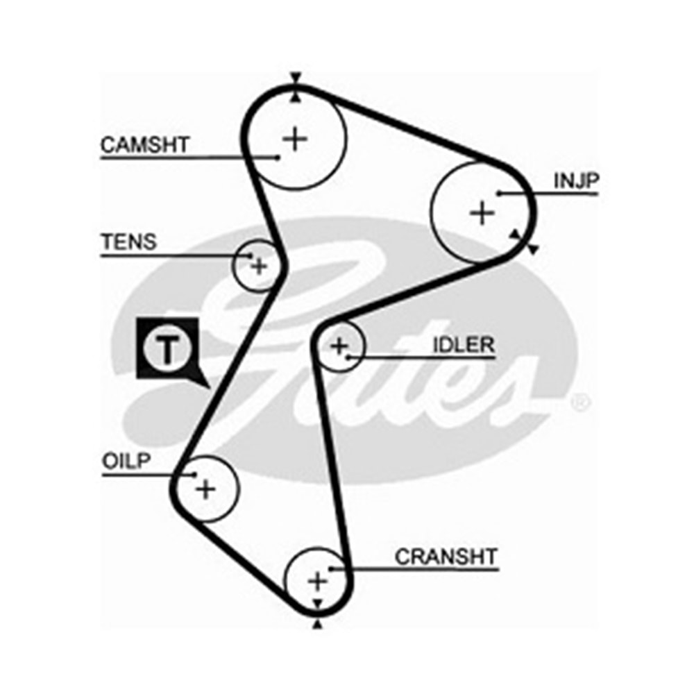 Triger Kayışı 153 Diş Ym Renault R9 R11 1.9D