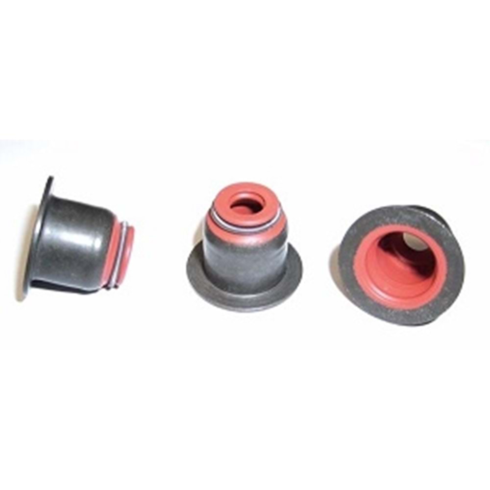 Subap Lastiği Peugeot 206 307 DV6