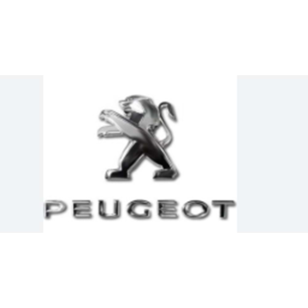 peugeot yazı ve ablemi 301