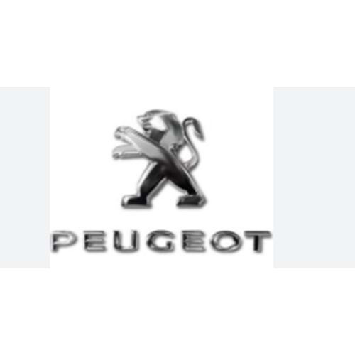 peugeot yazı ve ablemi 301