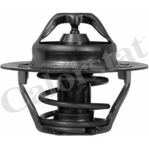 Termostat Renault R11-Flash DZL-P106-P306-P405-MeganeI-Laguna I-